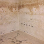 Reinwasserkammern komplett neu